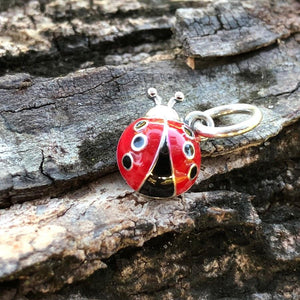 Lucky Red & Black Enamel Ladybug Charm